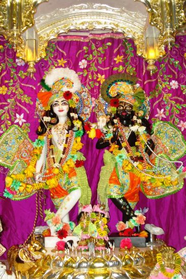 Krishna-Balarama on altar